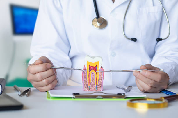 Best Emergency Dentist for Knocked-Out Tooth in Carbon Hill, AL